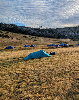 Editorial module img seven