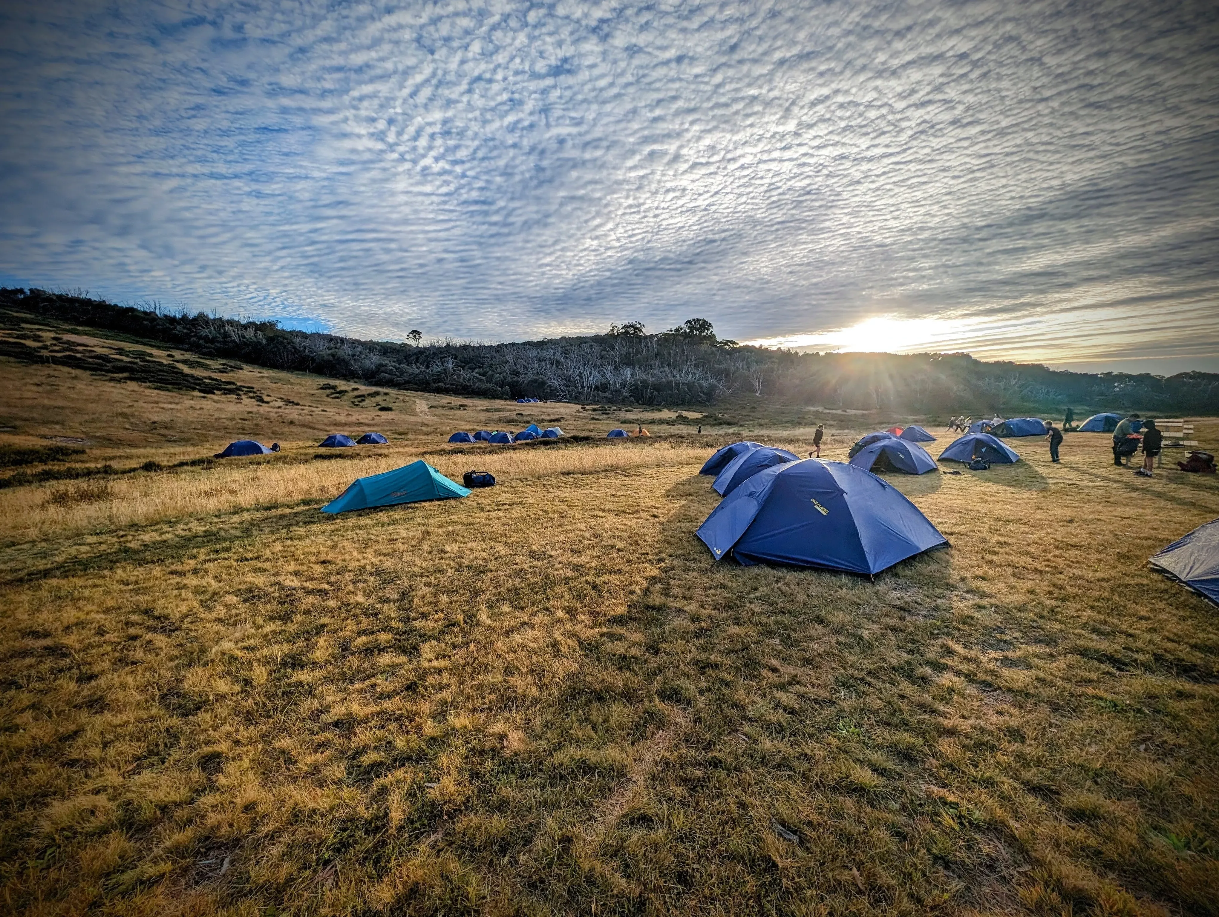 Gallery module img eleven