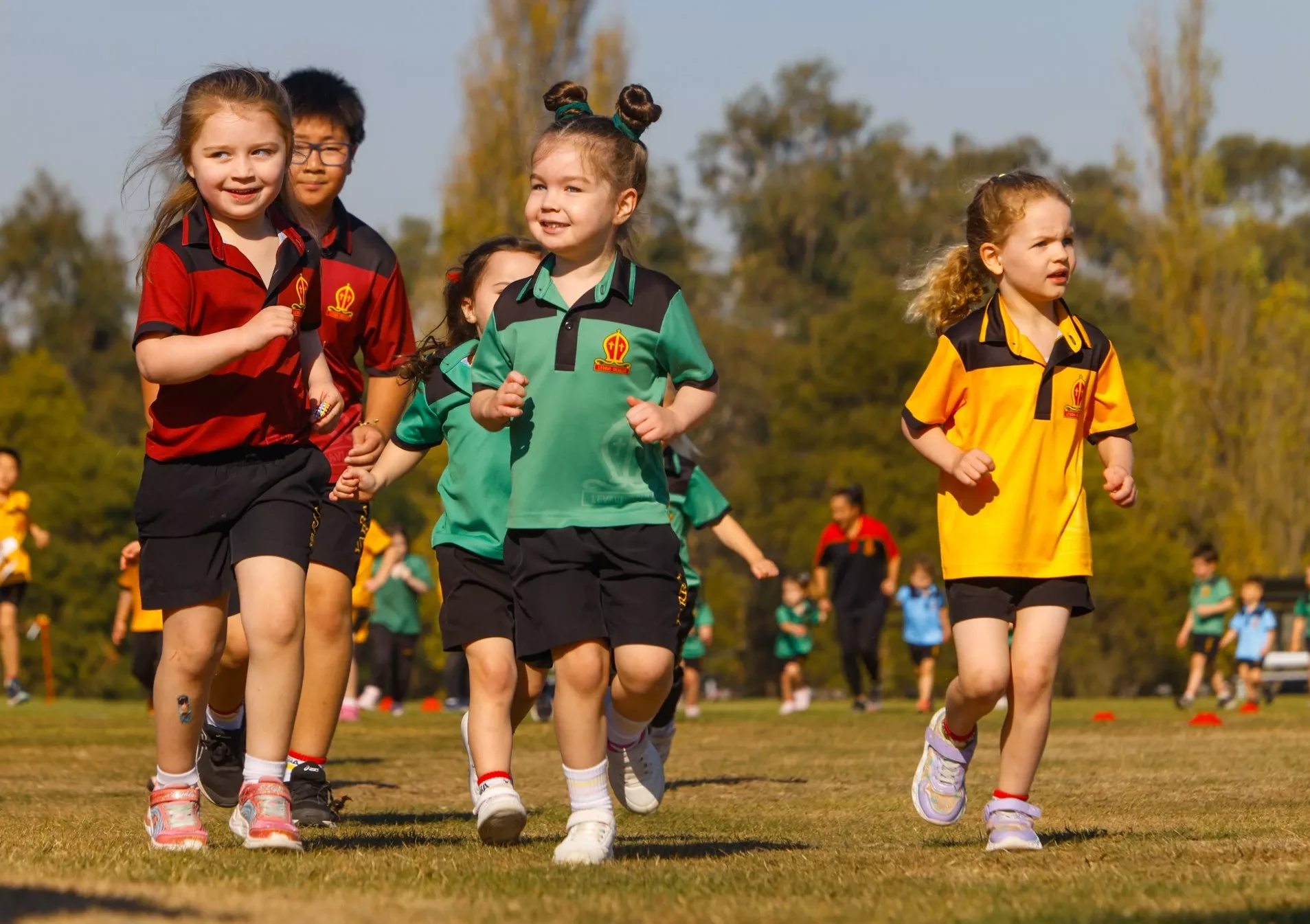 Gallery module img ten