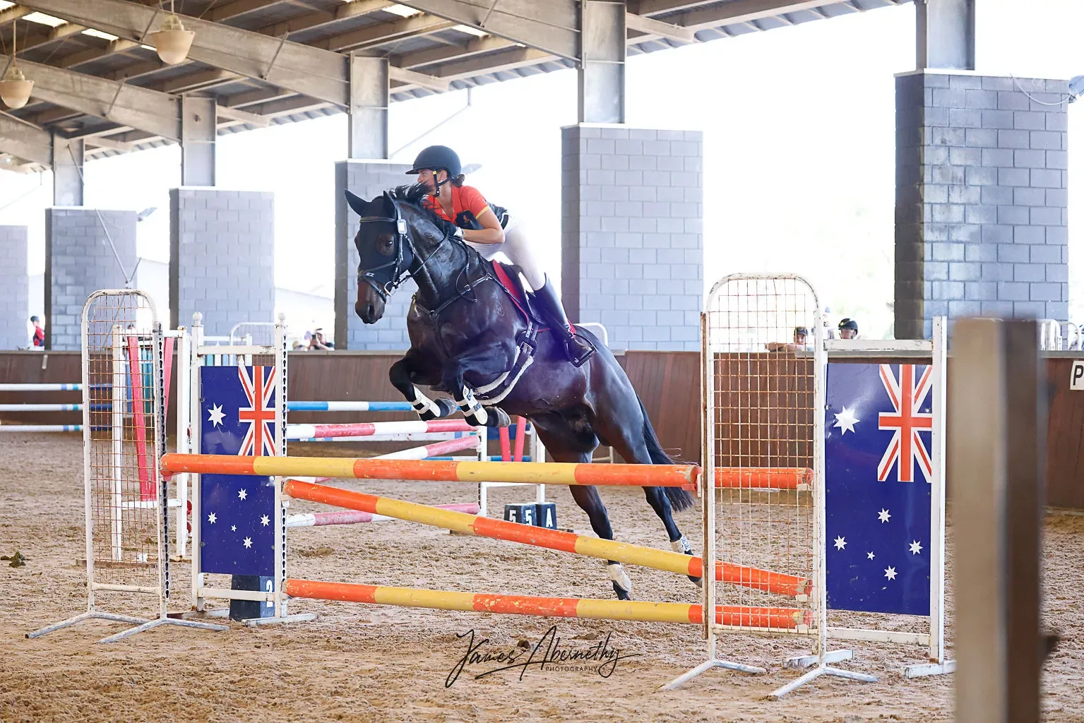 Gallery module img twelve