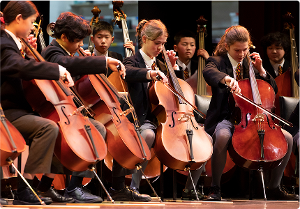 Co-curricular Opportunities