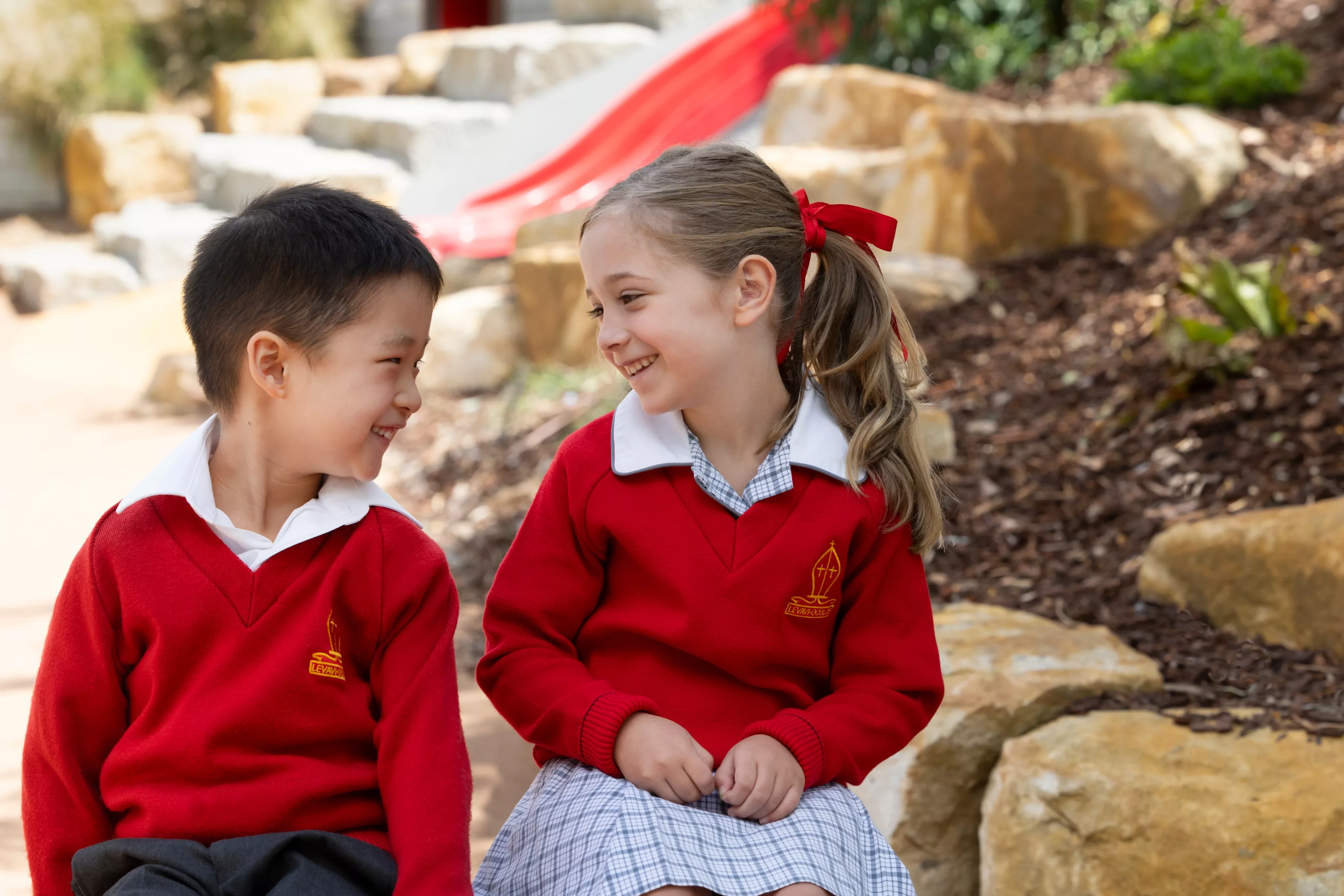 Img txt module img two